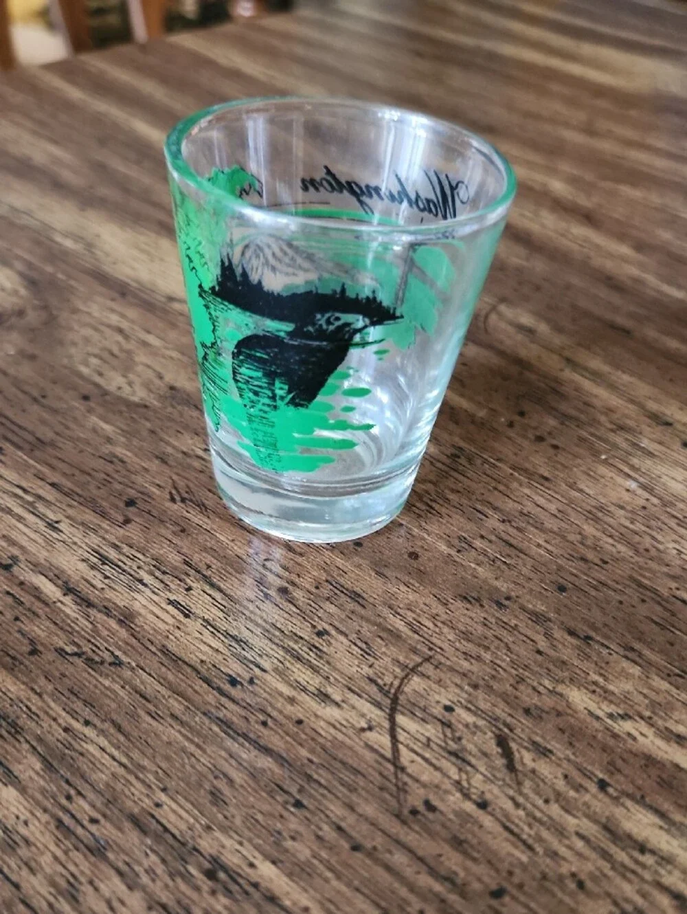 Washington Souvenir Shot Glass with Green Graphic